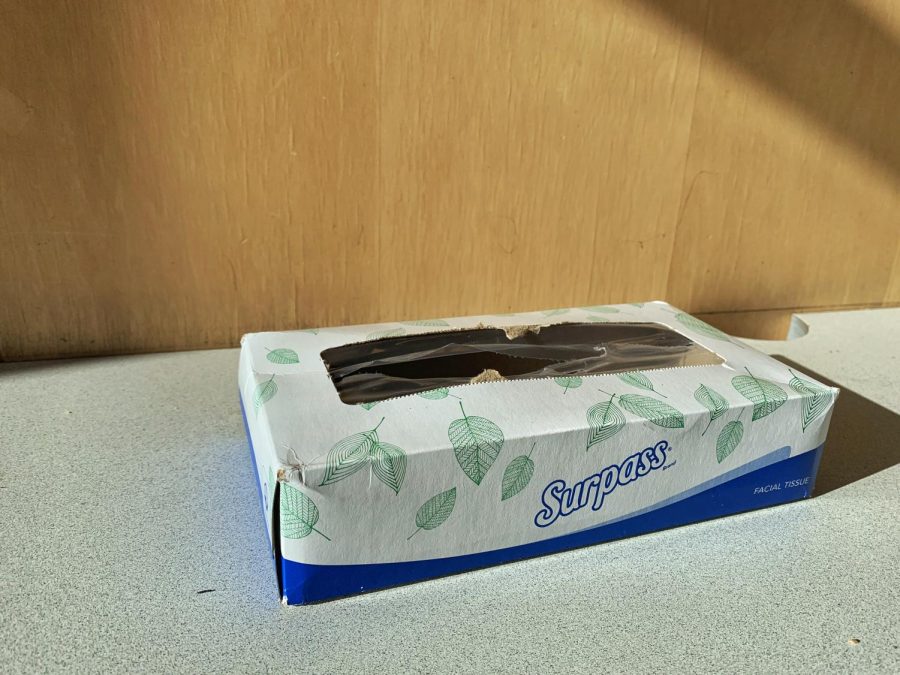 The Issue with Tissues - Kleenex Supply in Classrooms Falters