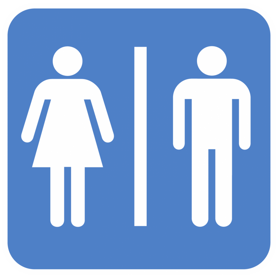 An Essay On Bathrooms And Disability Access The Royal Banner