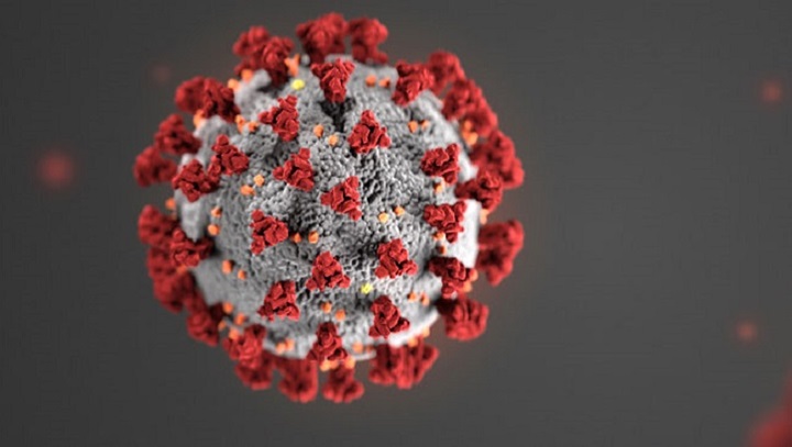 COVID-19 is a novel(or new) form of a coronavirus.