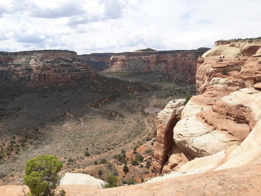 View of Ute Canyon from Liberty Cap Trail. 