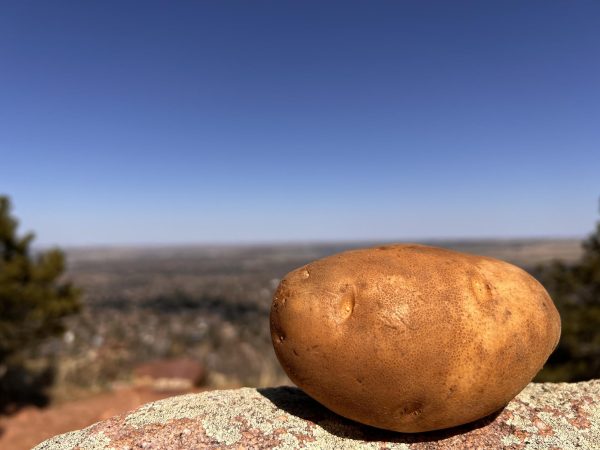 A majestic potato, overlooking the puny humans of Boulder.